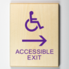 Accessible Exit Sign