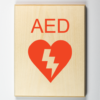 Automated External Defibrillator (AED)-orange