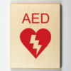 Automated External Defibrillator (AED)-red