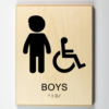 Boys Handicap Accessible Restroom-black