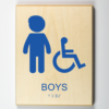 Boys Handicap Accessible Restroom-blue