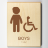 Boys Handicap Accessible Restroom-brown