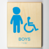 Boys Handicap Accessible Restroom-light-blue