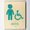 Boys Handicap Accessible Restroom-teal