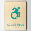 Handicap Accessible New Modified ISA-teal